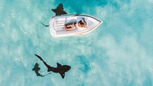 Boat surrounded by sharks, a mesataphore for our relationship with money