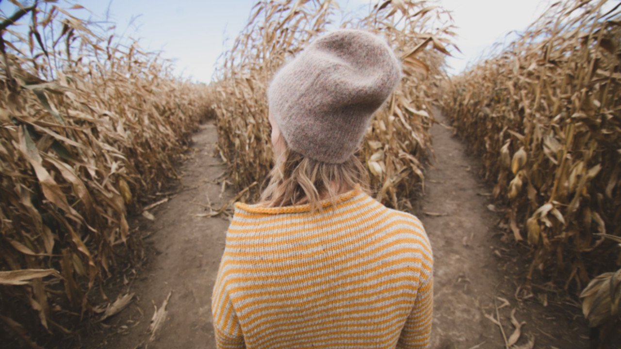 Poor decision making 16×9 1280×720 Poor decision making - girl choosing paths in the corn