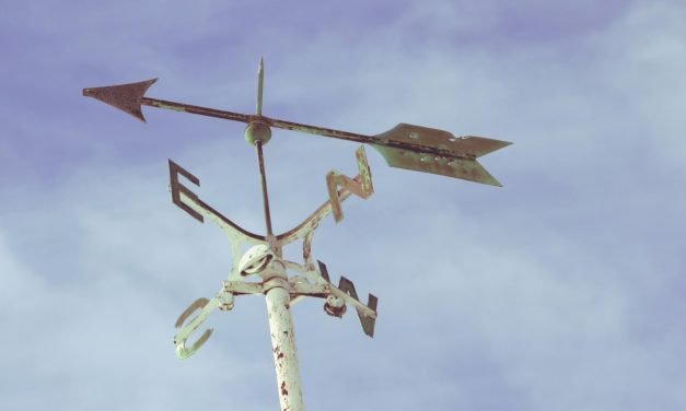 8 financial ratios to tell which way the wind is blowing