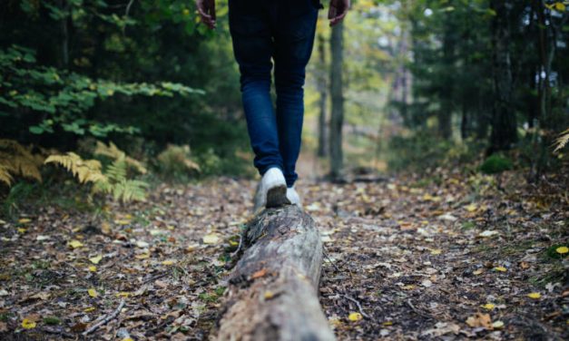 Escaping Left Brain Dominance: A Balanced Approach to Money