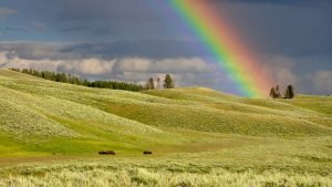 Magic Prosperity at the end of the rainbow