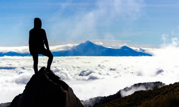 Your goals determine who you want to be, have and do.